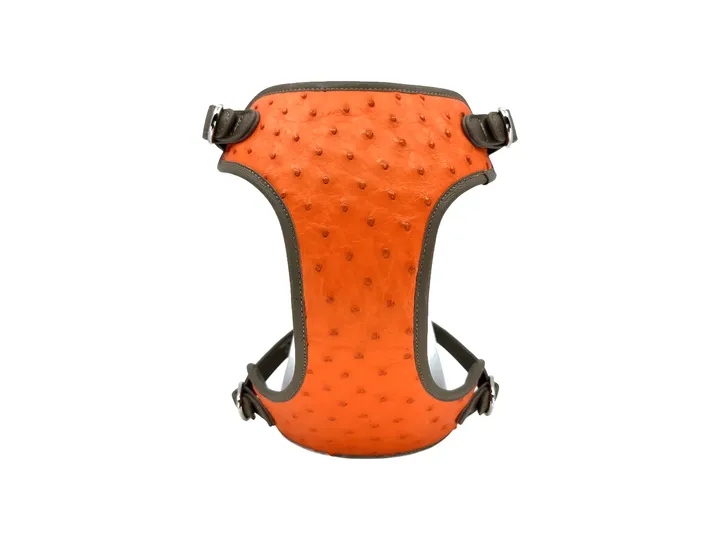 Sunset Orange Ostrich Harness Set, gold hardware: luxury ostrich leather dog harness set