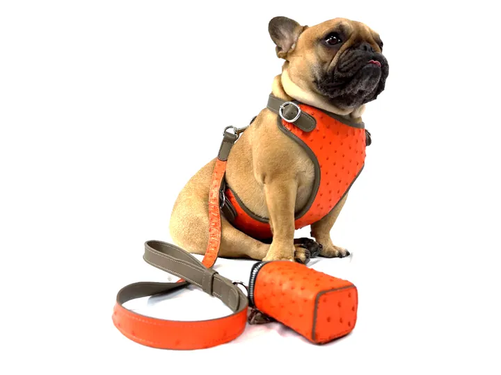 Doris wearing the Sunset Orange Ostrich Harness Set