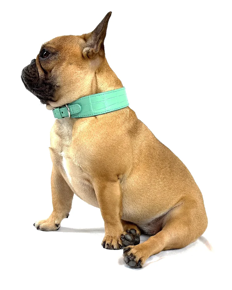 Doris, the Rich Dogue muse