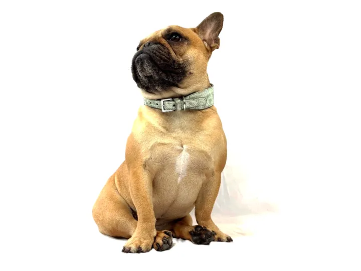 Doris wearing the Iridescent Green Water Snake Collar