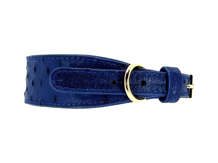 Blue Ostrich Collar, gold hardware: luxury ostrich leather dog collar