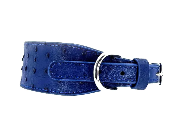 Blue Ostrich Collar, silver hardware: luxury ostrich leather dog collar
