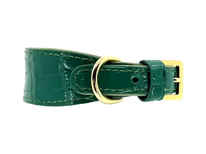 Green Crocodile Collar, gold hardware: luxury crocodile leather dog collar