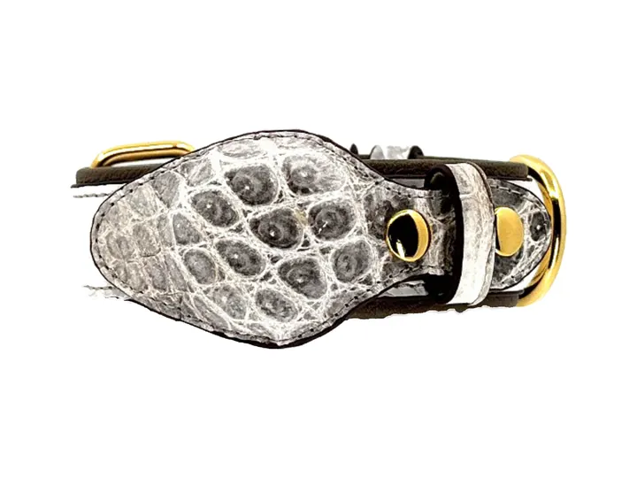 Himalayan Crocodile Tracker Collar, gold hardware: luxury crocodile AirTag dog collar