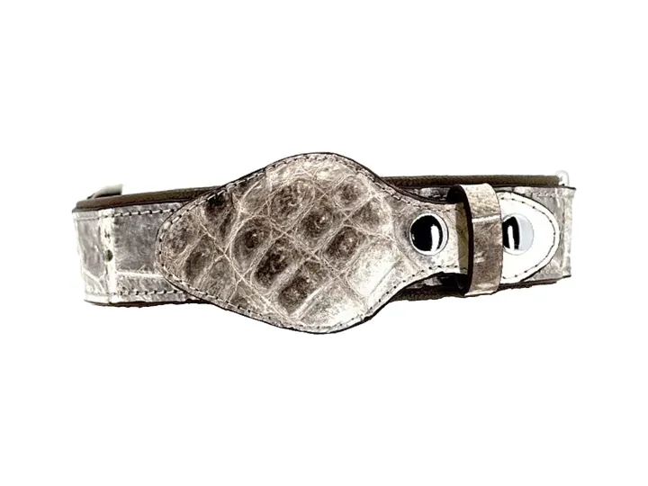 Himalayan Crocodile Tracker Collar, silver hardware: luxury crocodile AirTag dog collar