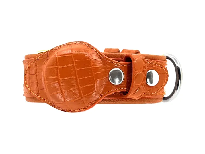 Orange Crocodile Tracker Collar, silver hardware: luxury crocodile AirTag dog collar