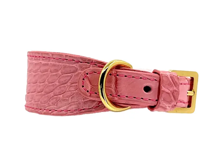 Paris Pink Crocodile Collar, gold hardware: luxury crocodile leather dog collar