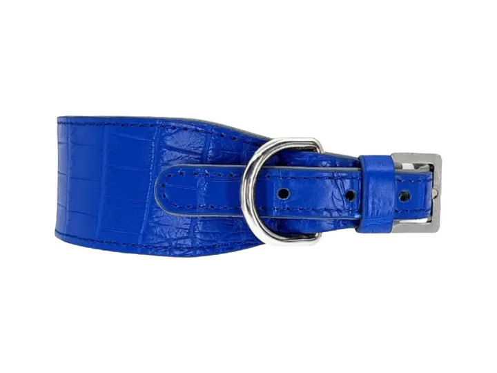 Royal Blue Crocodile Collar, silver hardware: luxury crocodile leather dog collar